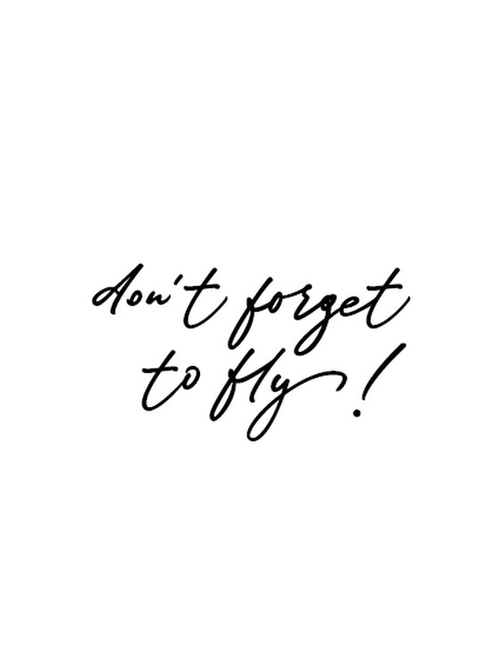 Открытка-Don't forget to fly-№1968